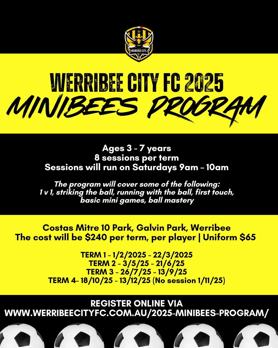 NEWMinibees Program - 2025
