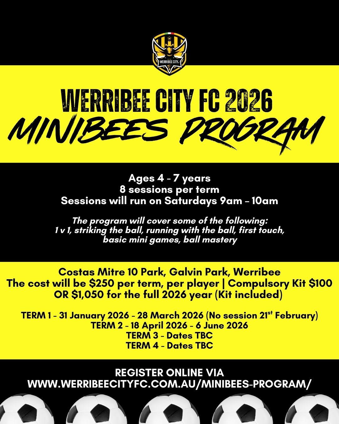 Updated Minibees Program - 2026 - Social Media